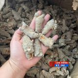  Củ tam thất hàng tự nhiên  LHNHVN-9008 