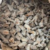  Củ tam thất hàng tự nhiên  LHNHVN-9008 