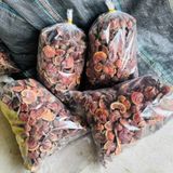  Nấm lim xanh rừng LHNHVN-9009 