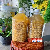  Sâu chít ủ rượu thơm LHNHVN-9011 