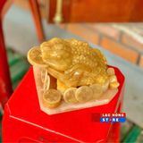  Thiềm thừ Ngọc Hoàng Long LHSTVN-9074 