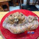  Cóc nu ngọc am LHWOVN-9044 