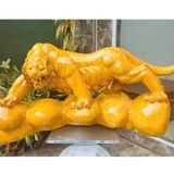  Hổ nu kháo vàng LHWOVN-9048 