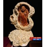 Tượng di lặc gỗ nu hương tự nhiên LHWOVN-9050 