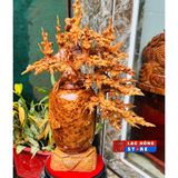  Bình hoa mai gỗ nguyên khối nu ngọc am LHWOVN-9074 