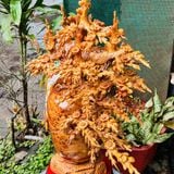  Bình hoa mai gỗ nguyên khối nu ngọc am LHWOVN-9074 