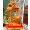  Bình tùng bonsai gỗ nu ngọc am nguyên khối LHWOVN-9075 