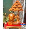  Bình tùng bonsai gỗ nu ngọc am nguyên khối LHWOVN-9075 