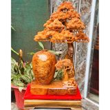  Bình tùng bonsai gỗ nu ngọc am nguyên khối LHWOVN-9075 