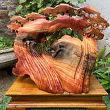  Tác phẩm cụ di lặc tựa gốc tùng LHWOVN-9089 