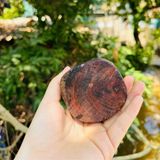  Di lặc ngồi bị gỗ trắc đỏ đen LHWOVN-9152 