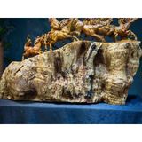  Mã Đáo Thành Công gỗ chun sụn hương LHWOVN-9164 