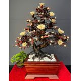  Chậu Hoa Phù Dung Gỗ Trắc Đỏ Đen LHWOVN-9176 