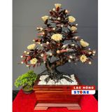  Chậu Hoa Phù Dung Gỗ Trắc Đỏ Đen LHWOVN-9176 