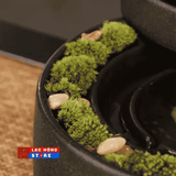  Tiểu cảnh phun sương LHCEVN-0501 
