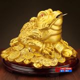  Cóc vàng LHMEVN-0026 