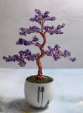  Cây cảnh đá ma thuật trang trí LHSTVN-0016 