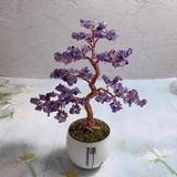  Cây cảnh đá ma thuật trang trí LHSTVN-0016 