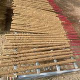  Nhang rồng thắp Tết LHWOVN-0001 