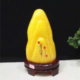  Đá phong thuỷ trang trí LHSTVN-9001 