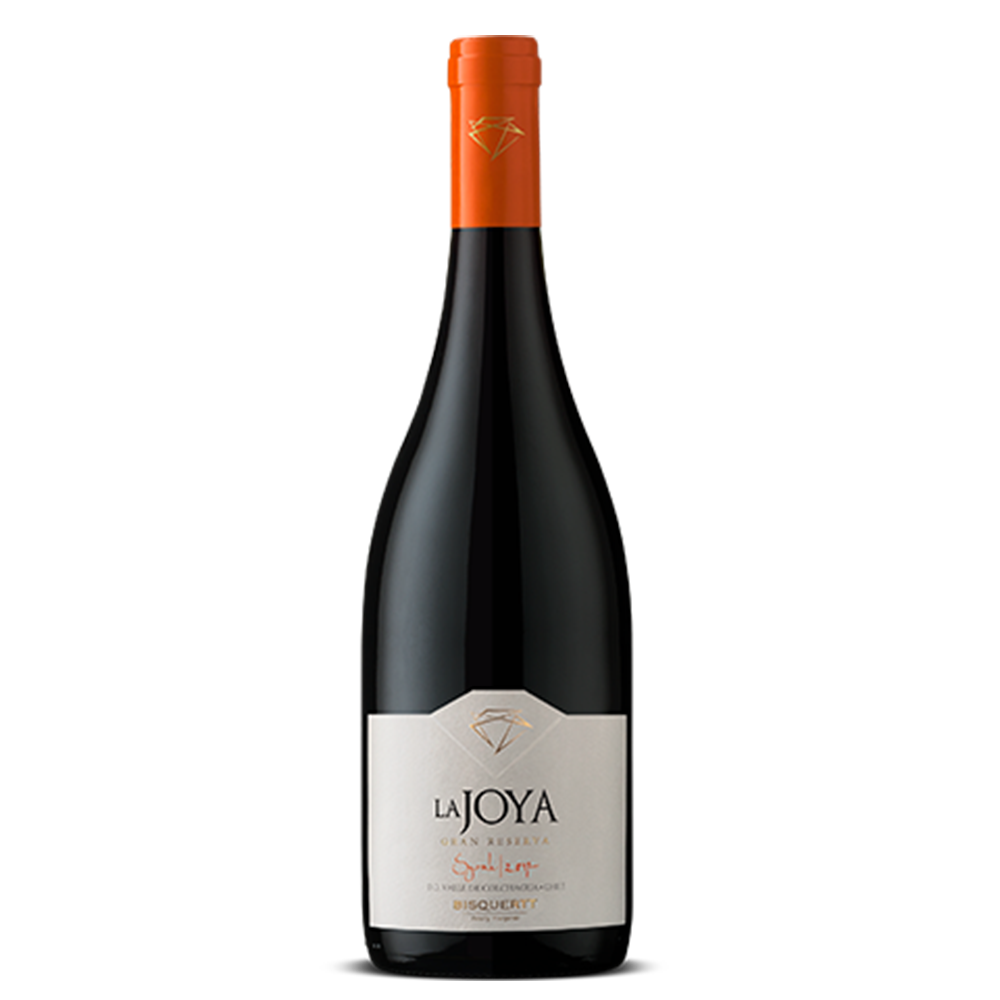  C065N. Bisquertt La Joya Gran Reserva Shiraz 