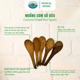  Muỗng Cơm Gỗ Dừa Tự Nhiên Ohiama - Dụng Cụ Nhà Bếp, Trang Trí, Đồ Thủ Công Mỹ Nghệ, Hàng VNXK 