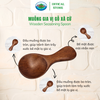  Muỗng Gia Vị Gỗ Xà Cừ Ohi@ma Wooden Seasoning Spoon 