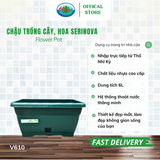  Chậu trồng cây, hoa Serinova Ohiama Flower Pot V610 6L| Chậu nhựa cao cấp, Làm đẹp không gian sống 