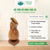 Hủ Tăm Gỗ Dừa Hình Trái Cà Ohiama Wooden Toothpick Holder - Đồ Dùng Bàn Ăn, Trang Trí Mỹ Nghệ VNXK