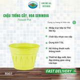  Chậu trồng cây, hoa Serinova Ohiama Flower Pot R007 7.5L| Chậu nhựa cao cấp, Làm đẹp không gian sống 