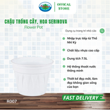  Chậu trồng cây, hoa Serinova Ohiama Flower Pot R007 7.5L| Chậu nhựa cao cấp, Làm đẹp không gian sống 