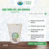  Chậu trồng cây, hoa Serinova Ohiama Flower Pot DAS2 | Chậu nhựa cao cấp, Làm đẹp không gian sống 