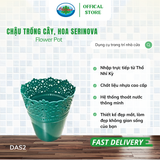  Chậu trồng cây, hoa Serinova Ohiama Flower Pot DAS2 | Chậu nhựa cao cấp, Làm đẹp không gian sống 