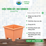  Chậu trồng cây, hoa Serinova Ohiama Flower Pot S420 7L | Chậu nhựa cao cấp, Làm đẹp không gian sống 