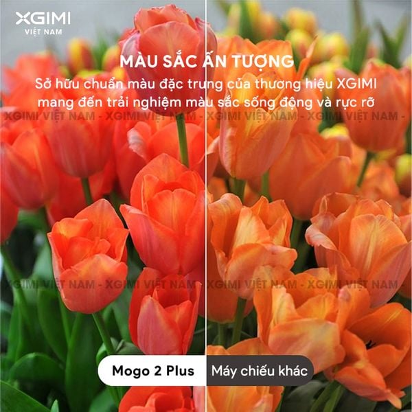 Xgimi MoGo 2 Plus - Máy chiếu thông minh tích hợp hệ điều hành Google TV, độ sáng 400 ISO lumens, phân giải Full HD, hỗ trợ các tính năng căn chỉnh thông minh, loa Harman Kardon và Netflix chính chủ