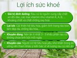  Rau Muống 