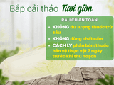  Cải Thảo 