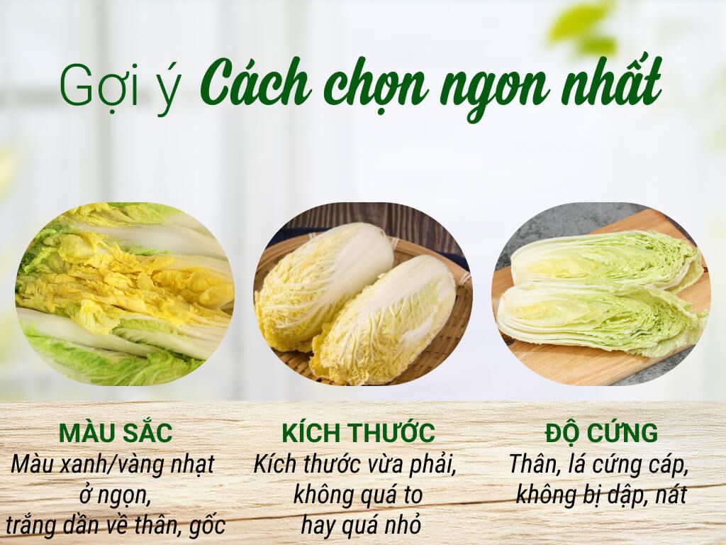  Cải Thảo 