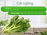  Cải Ngồng 