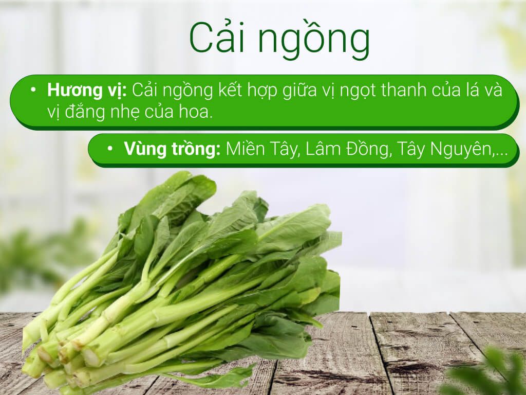  Cải Ngồng 