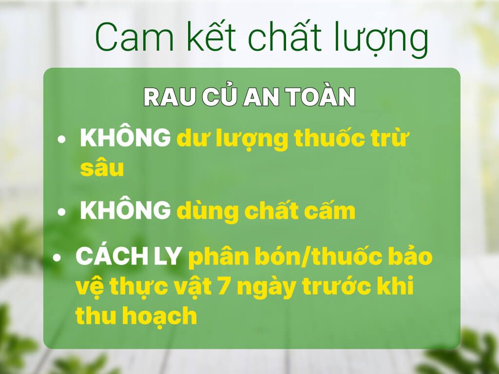  Cải Ngồng 