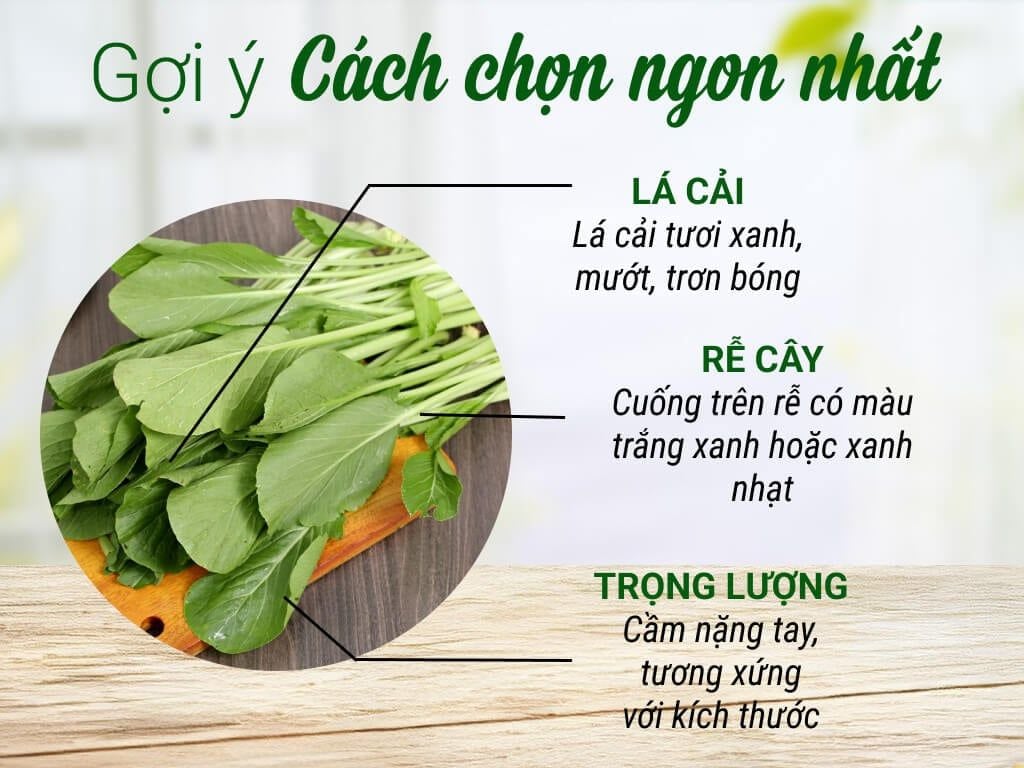  Cải Ngọt 