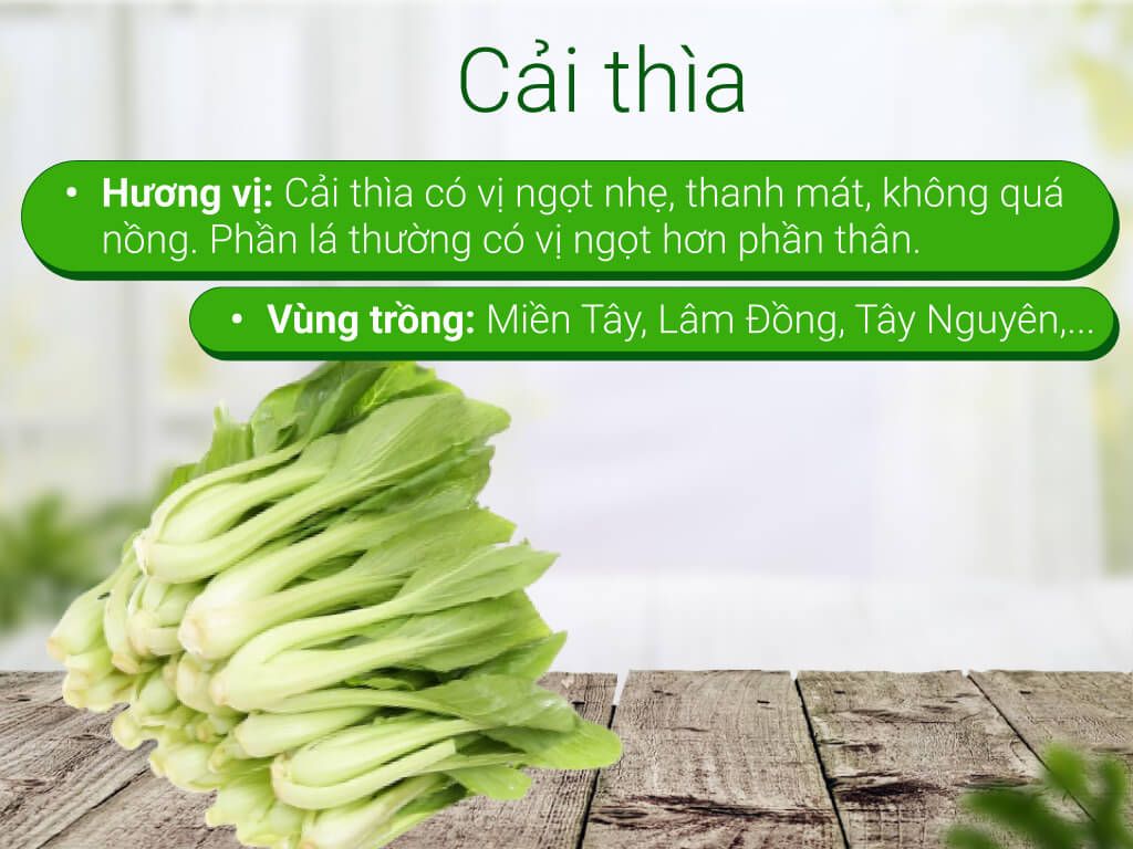  Cải Thìa (Cải Chíp) 
