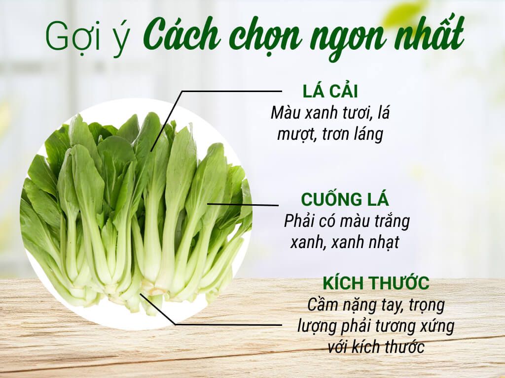  Cải Thìa (Cải Chíp) 