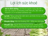  Cải Thìa (Cải Chíp) 