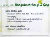  Cải Thìa (Cải Chíp) 