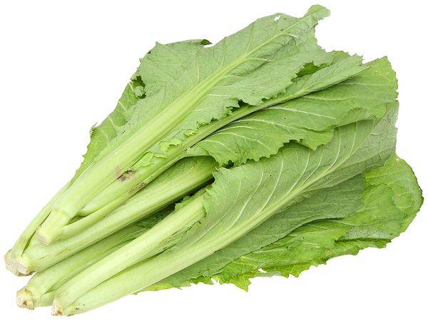  Cải Xanh (Cải Canh) 