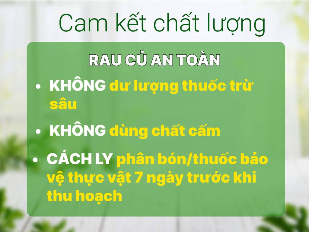  Rau Muống 