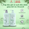  Cặp Dầu Gội Xả Elvawell White Truffle - Giảm Rụng Tóc, Sạch Dầu Bết 