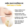  Tinh Chất Dưỡng Mi DHC Eyelash giúp mi chắc khỏe, mọc dài, dày và ngăn ngừa mi gãy rụng 6.5ml 